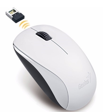 Mouse Genius Usb Negro Dx-110