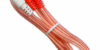 Cable RCA a Jack 3.5mm MST-1088G-1