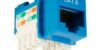 Jack Rj45 Cat6 Color Azul