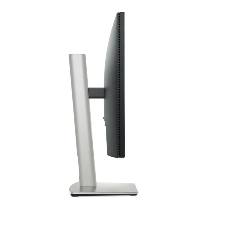 Monitor Dell P2425H 24” IPS Full HD 100Hz Altura Ajustable