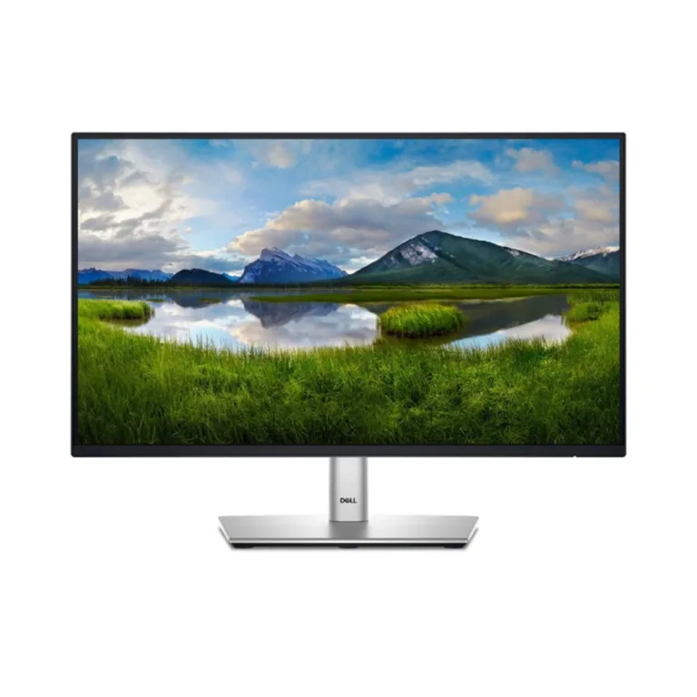 Monitor Dell P2425H 24” IPS Full HD 100Hz Altura Ajustable