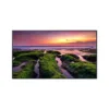 Monitor Profesional 55" UHD 4K 16/7 350 Nits Tizen OS Empresarial