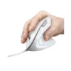 Mouse Trust Verto ergonómico Vertical blanco