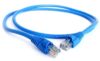 Patch Cord Cat 6 10Ft Azul