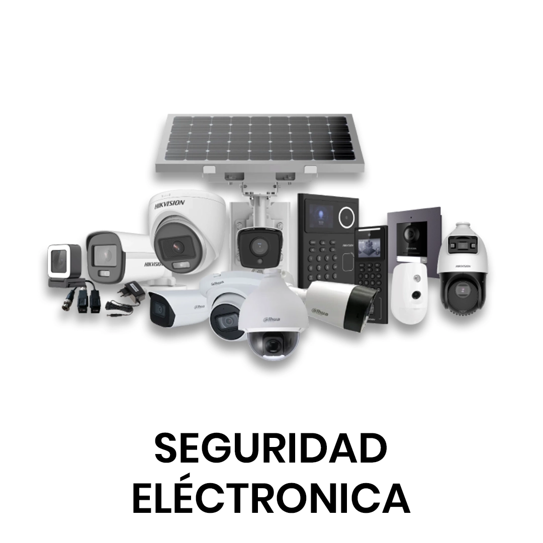 Seguridad Electrónica