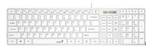 Mouse Inalámbrico Genius Ergo 8100S