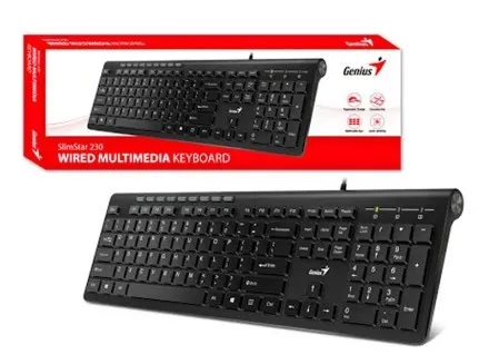Teclado Genius Usb SlimStar 230II